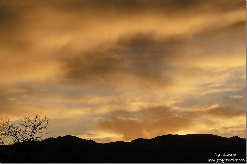tree Weaver Mountains sunset clouds Yarnell Arizona
