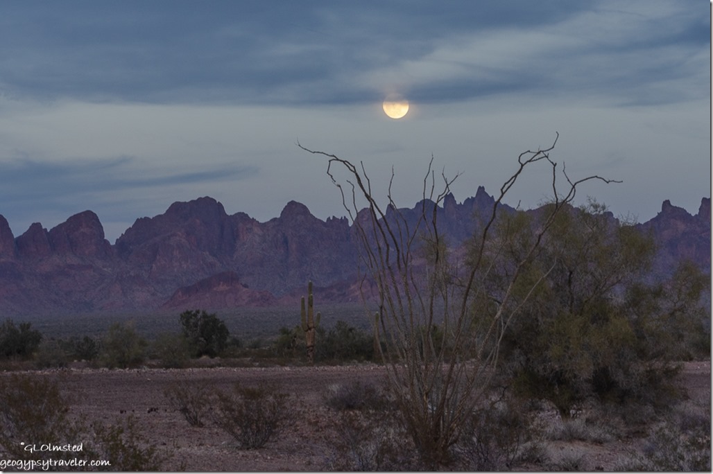 Ocotillo desert Kofa Mountains moon rise reverse sunset clouds Kings Valley Road Kofa National Wildlife Refuge Arizona