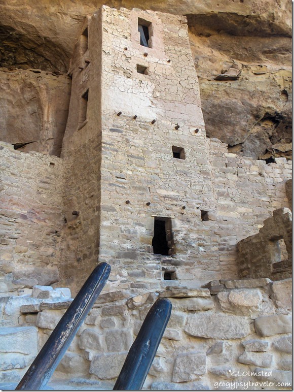 ladder Square Tower Cliff Palace Mesa Verde National Park Colorado
