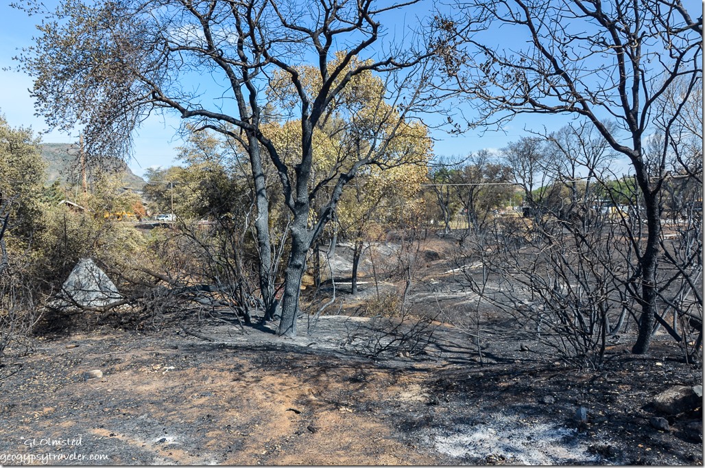 Wash view after 2013 fire Yarnell Arizona