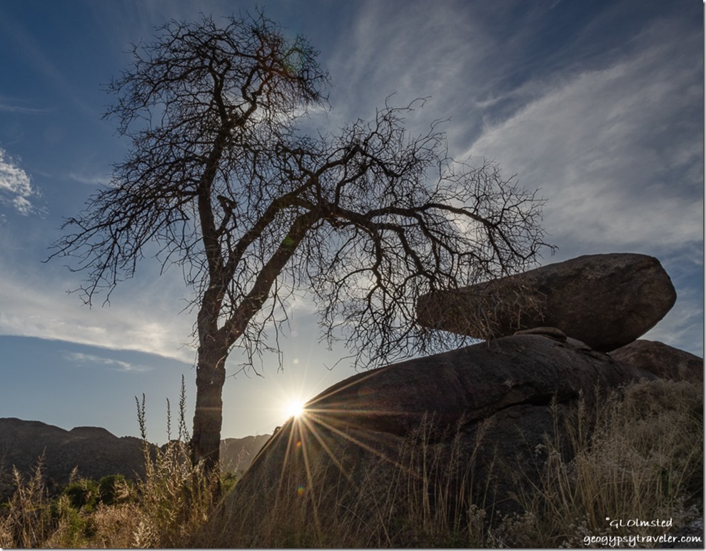 tree boulders Weaver Mountains sun sunburst clouds Yarnell Arizona