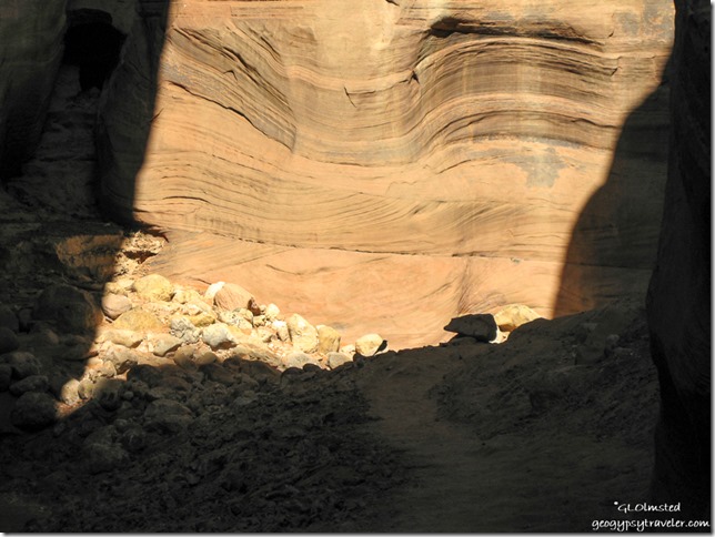 Bird silhouette Buckskin Gulch slot canyon trail Utah