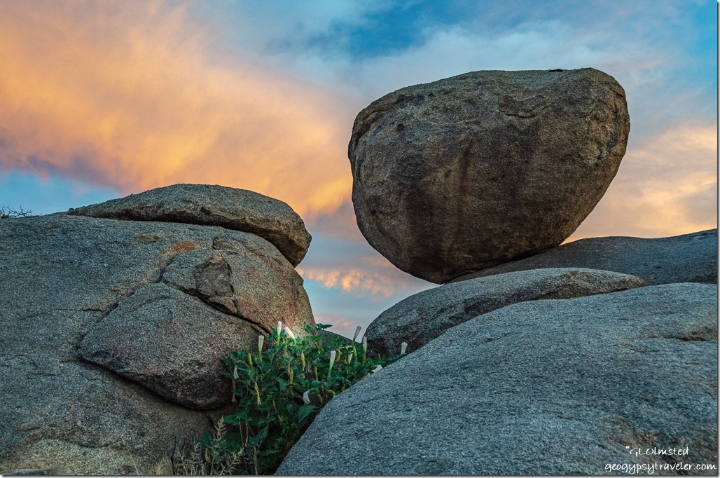 datura boulders sunset Yarnell Arizona