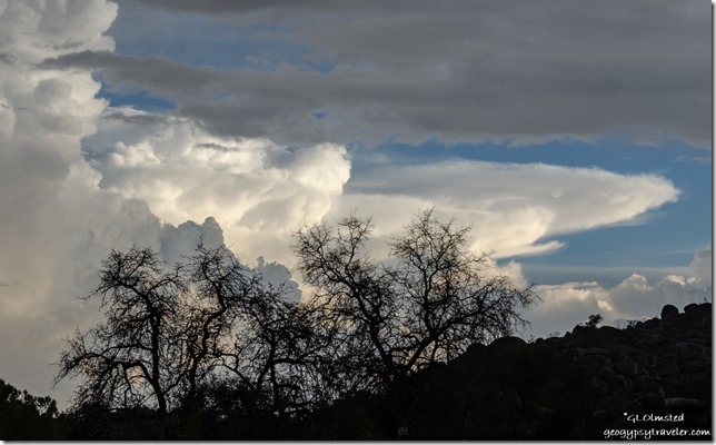 trees Weaver Mountains clouds Yarnell Arizona