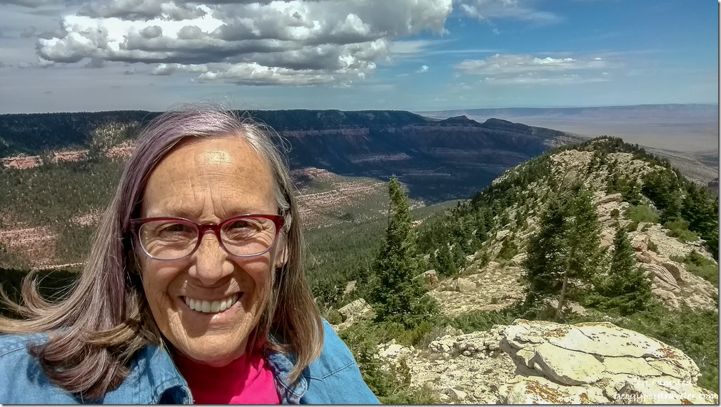 Gaelyn Marble View Kaibab National Forest Arizona