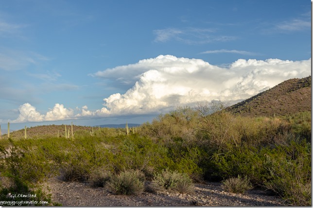Sonoran desert mountain clouds Darby Well Road BLM Ajo Arizona