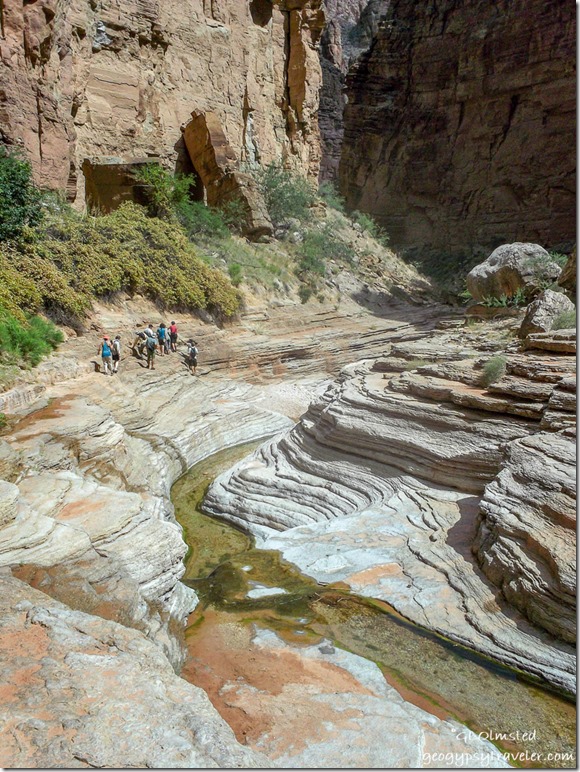 Staff hiking out of Matkatamiba Canyon ~RM148.4 Colorado River trip Grand Canyon National Park Arizona