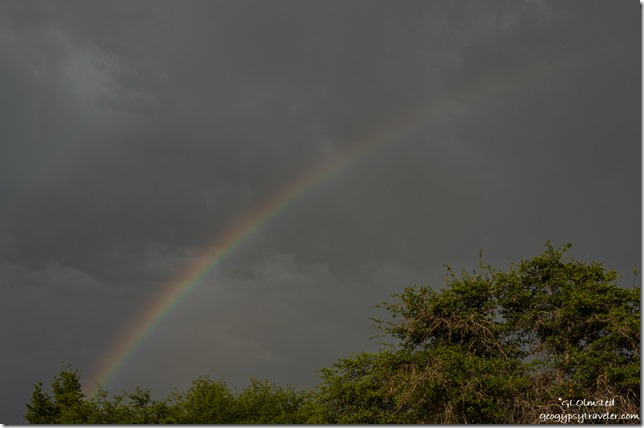 trees rainbow gray sky Yarnell Arizona