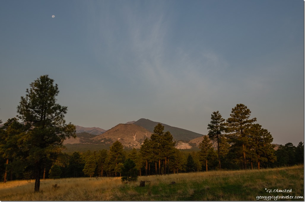 early light meadow trees San Fransisco Peaks FR545 Coconino National Forest Arizona