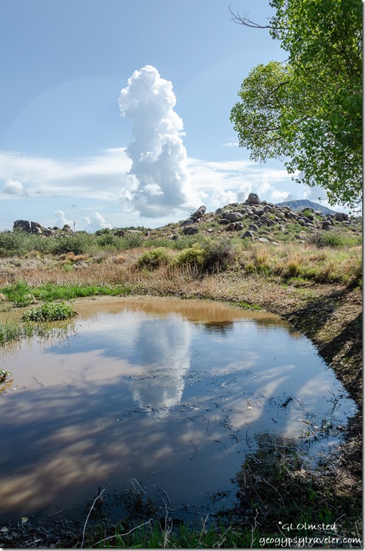 clouds reflected in pond Yarnell Arizona