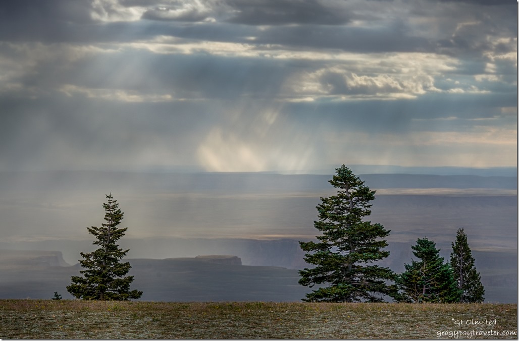 trees valley Marble Canyon rain clouds crepuscular rays Marble View Kaibab National Forest Arizona
