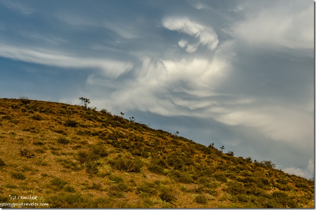 hill trees clouds Yarnell Arizona