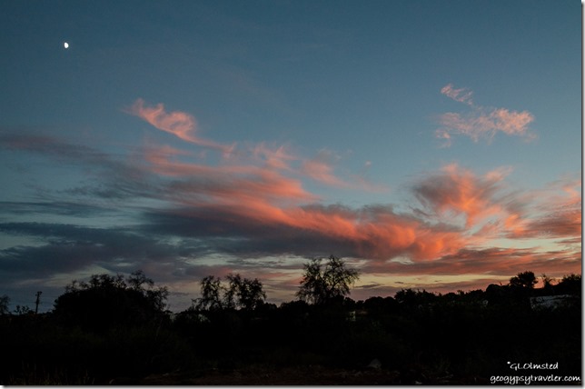 trees sunset clouds moon Yarnell Arizona