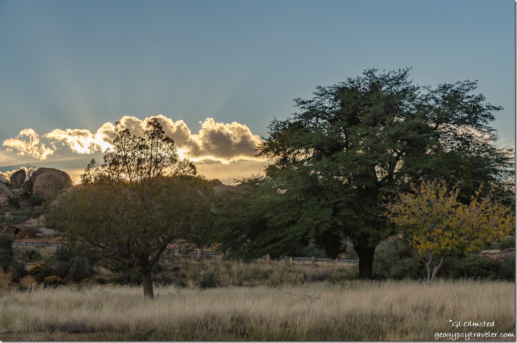 grass trees sunset clouds crepuscular rays Yarnell Arizona