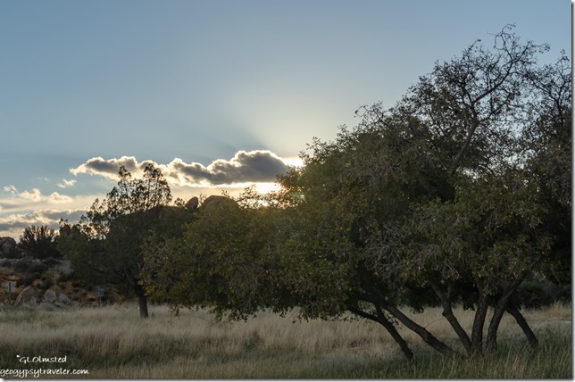 trees sunset clouds crepuscular rays Yarnell Arizona