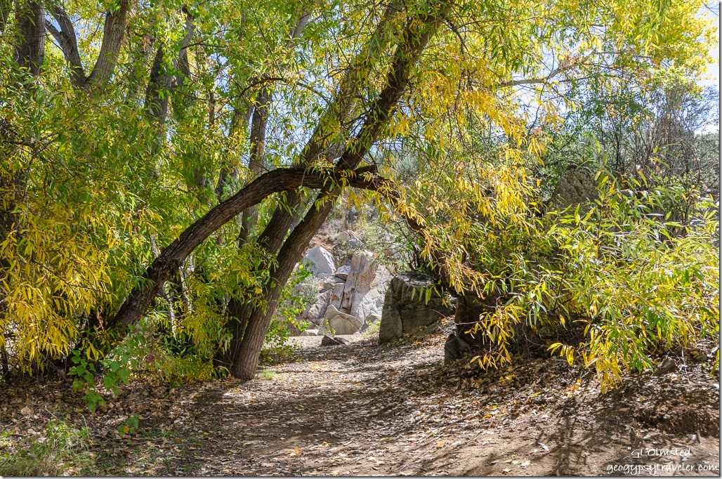 fall trees boulders Fain Lake Park Prescott Valley Arizona