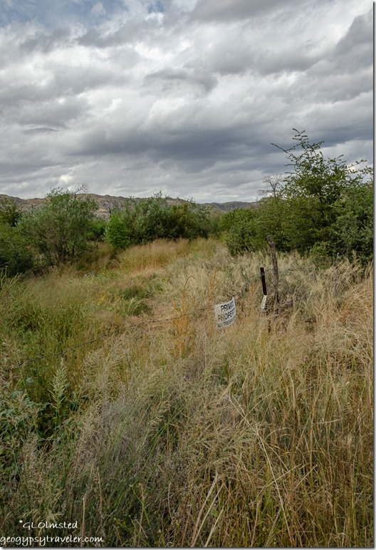 grasses brush trees dry wash Weaver Mountains approaching storm clouds Yarnell Arizona