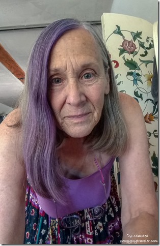 Gaelyn with purple hair selfie Yarnell Arizona