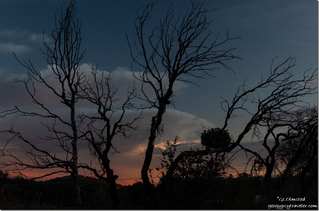trees reverse sunset clouds Yarnell Arizona