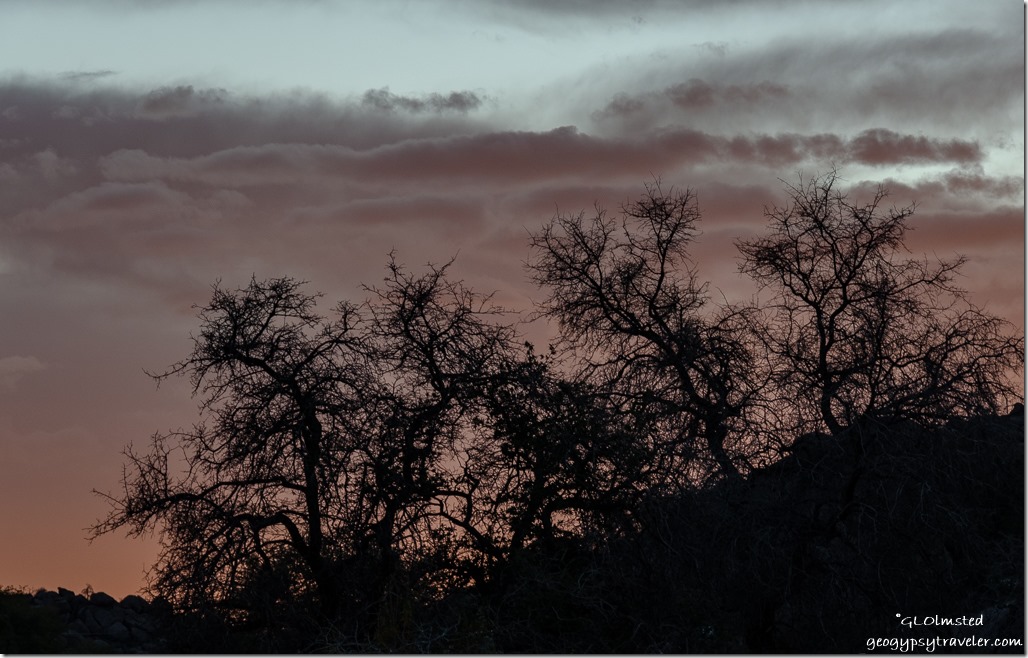 trees sunset clouds Yarnell Arizona