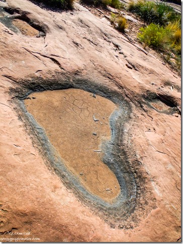 Heart shaped water hole in sandstone Tuweep overlook Grand Canyon National Park Arizona