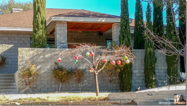 neighbors ornaments on tree Yarnell Arizona