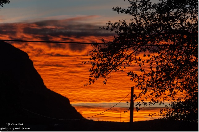 hill tree sunrise Yarnell Arizona