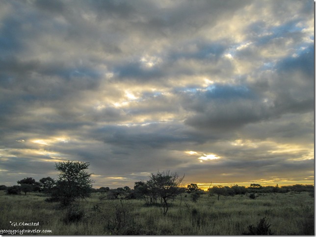 Sunset Kruger National Park Mpumalanga South Africa