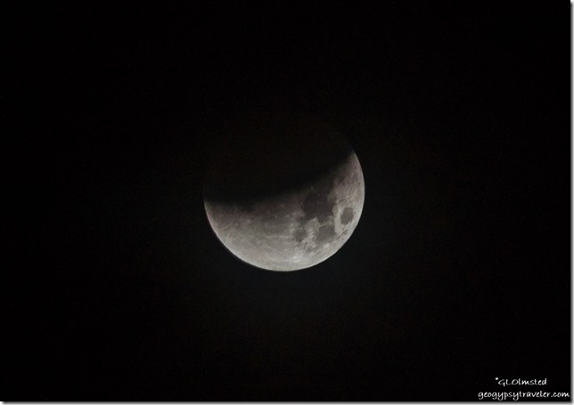 07 DSC_8441lecrw lunar eclipse Kofa NWR AZ g-1-3-1