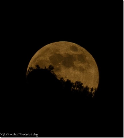 full moon rise SR89 Yarnell Hill Arizona