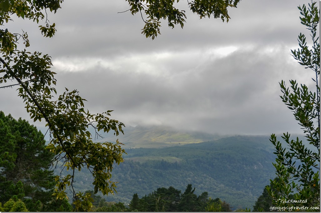 Cloudy morning view of the Hogsbacks from Never Daunted Self-catering Cottage Hogsback South Africa