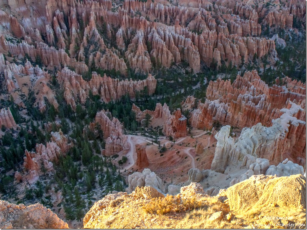 Hoodoos from Bryce Point Bryce Canyon National Park Utah