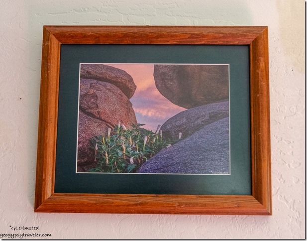 Datura boulders sunset Yarnell Arizona 5.5x7.5 & 9.5x11.5 $25