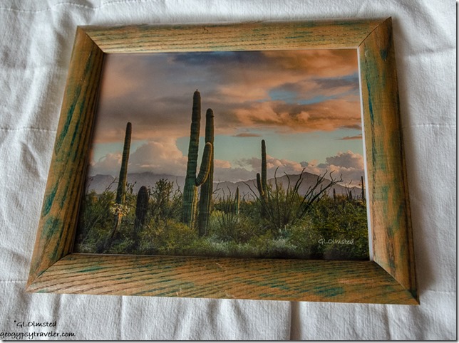 Sonoran Desert Sunset Organ Pipe Cactus National Monument Arizona 8x10 & 10x12 $25
