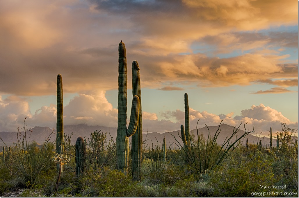 Sonoran desert mountains low clouds sunset Organ Pipe Cactus National Monument Arizona