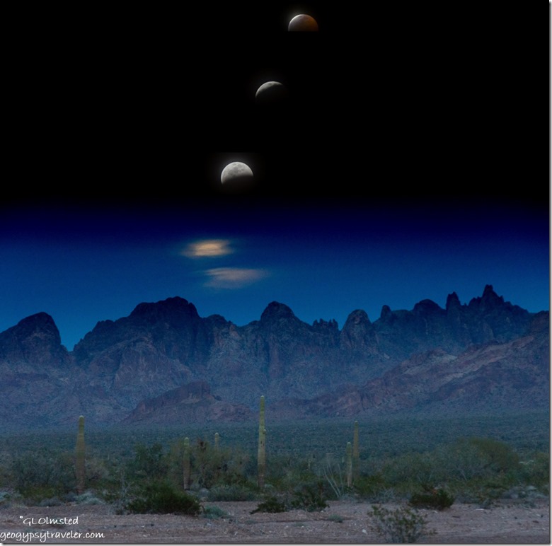 Sonoran Desert Kofa Mountains lunar eclipse Kofa National Wildlife Refuge Arizona collage