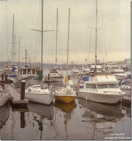 Yellow Tanzer sailboat Lake Union Seattle Washington