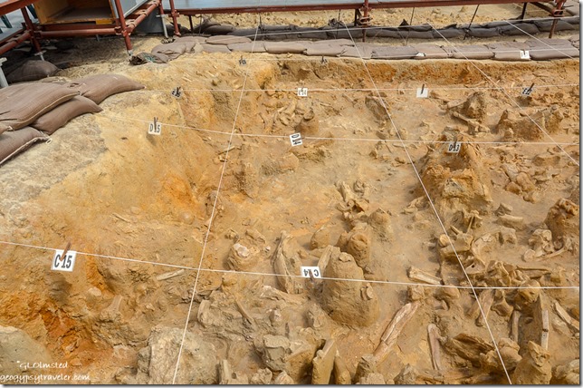 excavation site Fossil Park Langebaan South Africa