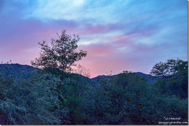 trees Weaver Mountains sunset clouds Yarnell Arizona