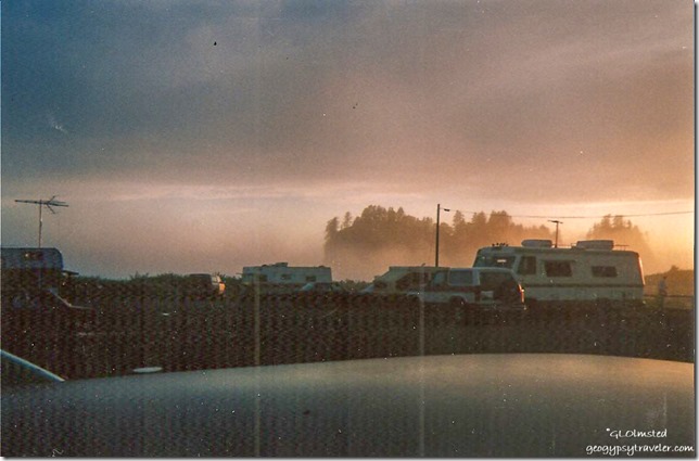LaPush Olympic peninsula Washington March 1990