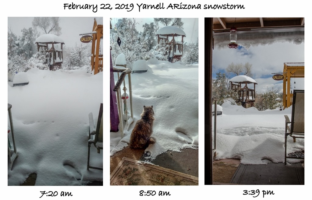 Feb 22 am-pm snow acculumation from front door Yarnell Arizona