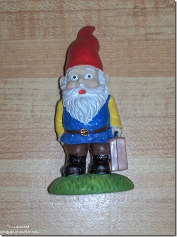 Gnome front