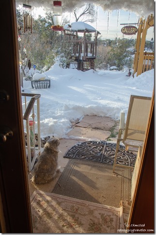 snowy front door view yard Yarnell Arizona