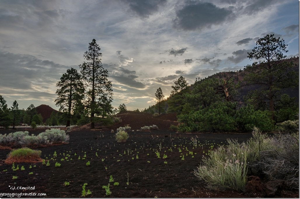 first light Sunset Crater National Monument Arizona