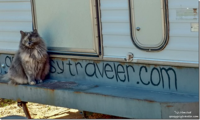Sierra cat camper bumper