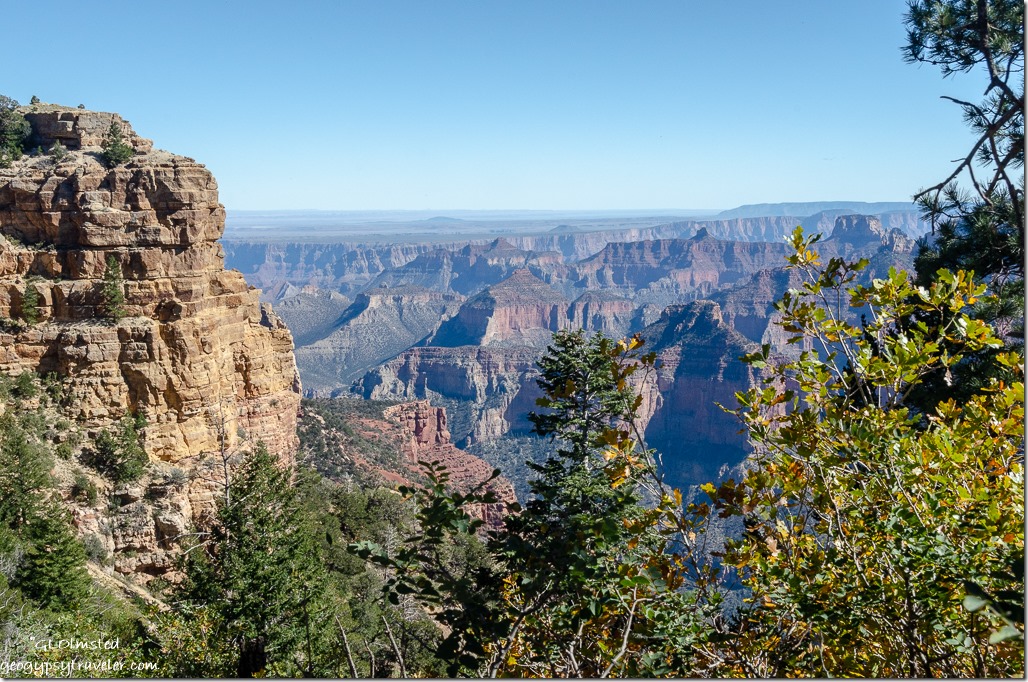 Fall color & canyon view along Upper Ken Patrick trail North Rim Grand Canyon National Park Arizona
