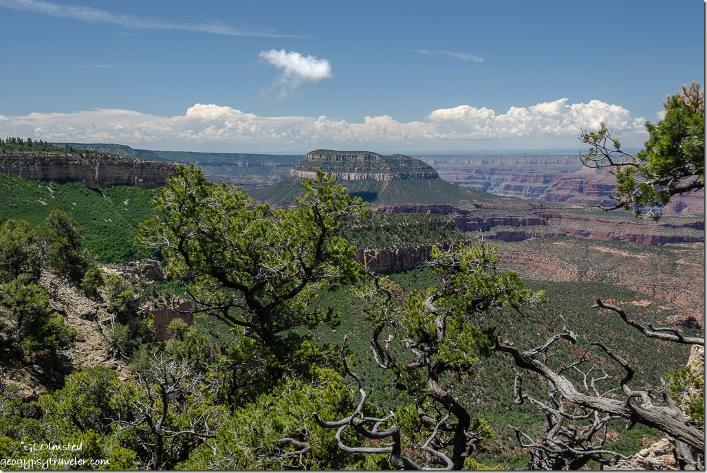 View South from Parissawampitts Point North Rim Grand Canyon Kaibab National Forest AZ