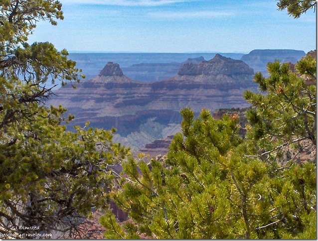 West view from Cape Royal North Rim Grand Canyon National Park Arizona