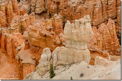 hoodoos from Rim trail Bryce Canyon National Park Utah