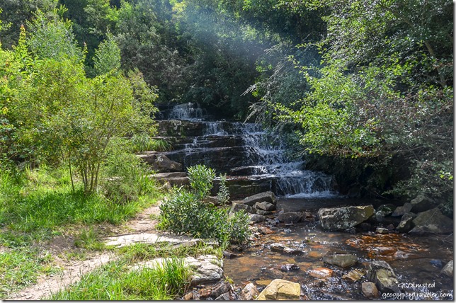 39 Steps waterfall Hogsback Arboretum Hogsback South Africa